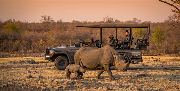 Anantara Stanley & Livingstone Victoria Falls Hotel Safari 1bc18.jpg